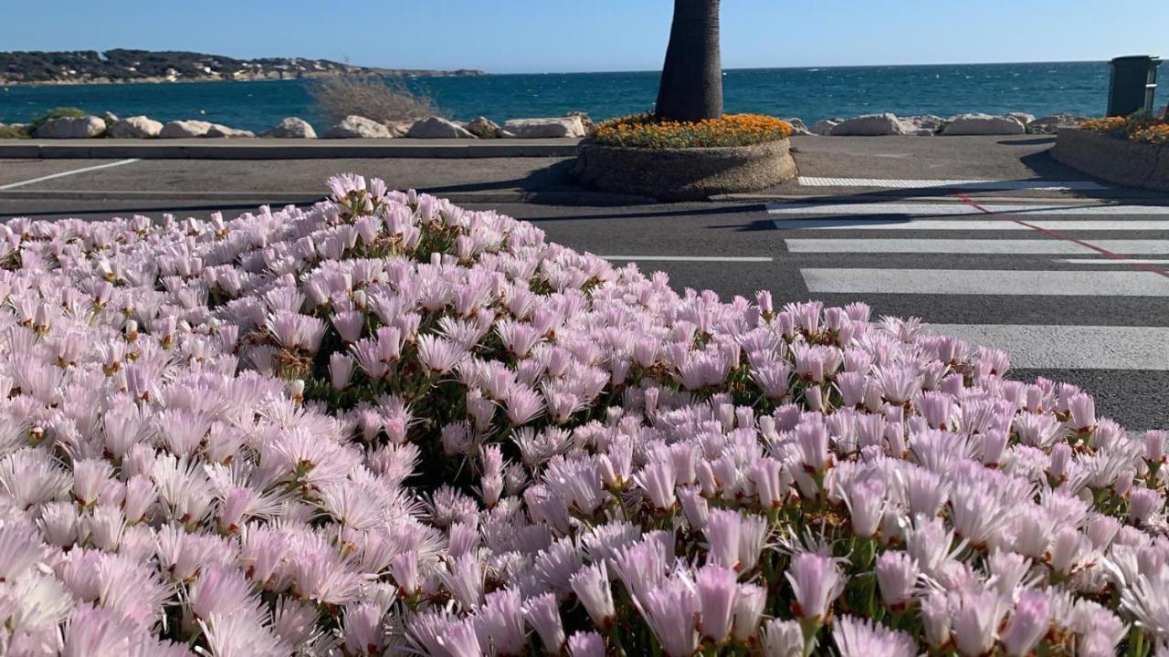 Les Appartements De La Marina Sanary-sur-Mer Luaran gambar